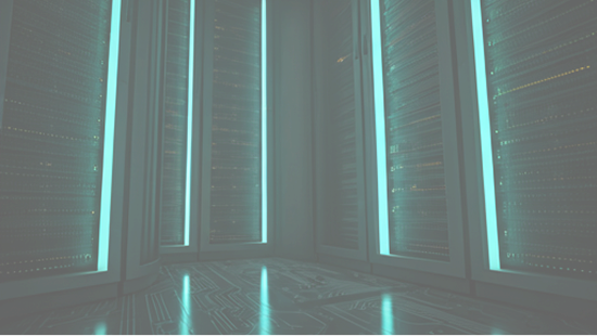 Web matrix services